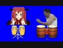 コンガを叩くKSDB姉貴BB