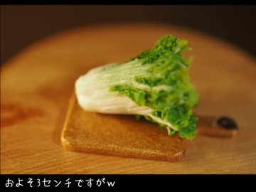 野良猫式Johnny’sカフェ　リニューアル編その4