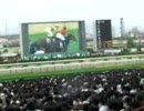 【のび太】競馬予想動画　桜花賞②