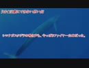 【ニコ生】ファイヤー山本、シロナガスクジラ説【ホエール山本】