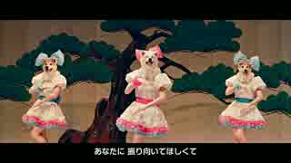 MOFU MOFU☆DOGS “Waiting4U〜モフモフさせてあげる〜” M_V (AKITA DOG POP STAR)