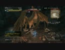 【DDON】凍結検証　シールドセージ