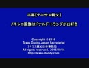 字幕【テキサス親父】メキシコ国旗はドナルド・トランプがお好き