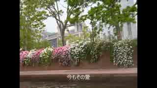 君は愛されるため生まれた　本田路津子