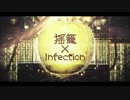 揺籠×Infection　歌ってみた
