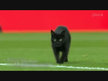 ゴールキーパーのセーブ集