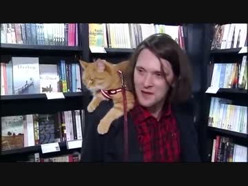 ホームレスと野良猫の実話「ボブという名のストリート・キャット」
