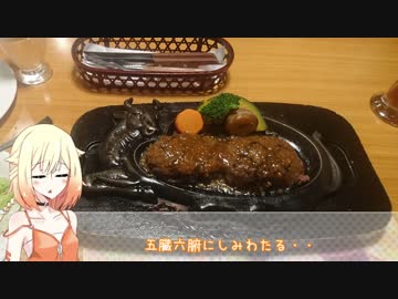 ぼくの３連休　都会ライダーのツーリング体験　③【Cevio車載】