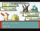 ポケモンエメラルド対戦' Pokemon emerald battle-16