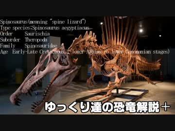 ゆっくり達の恐竜解説＋　第二回前編：ティラノサウルス類