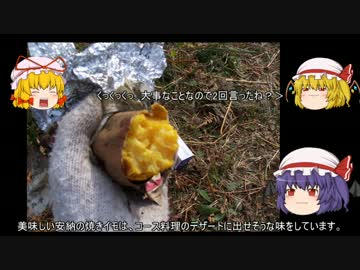 ゆっくり農民43サツマイモを育ててみませんか？＃2