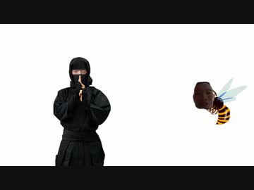 にんじゃになるゆうさく