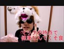 ネットで初めて顔出しアップした禁断の恥動画【削除済み】