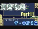 【父を訪ねて】洞窟物語る。【ワンダンジョン】 11窟目
