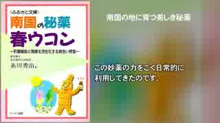 南国の秘薬 春ウコン～肝臓機能と胃腸を活性化する黄色い根茎