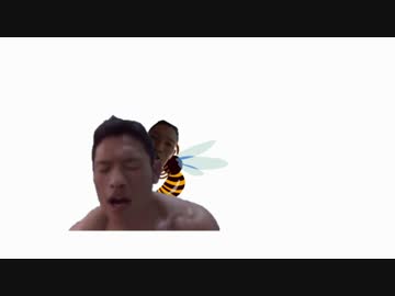 「ビン」と言ったら減速してしまうスズメバチに刺されるゆうさく