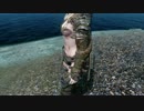 【skyrim】エレンのその日暮らし！【ゆっくり実況】 その7