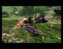[MHX]獰猛ミツネで画質テスト