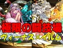 【パズドラ】極限の闘技場1　転生ヴィーナス×火イルム