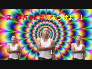 ゆうさく注意喚起のテーマ.HardcoreHeaven.mp4