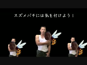 注意喚起中にスズメバチに刺されるゆうさく