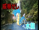 役割野郎のシングルレートpart11【ポケモンoras】