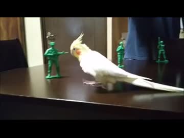 鬼教官