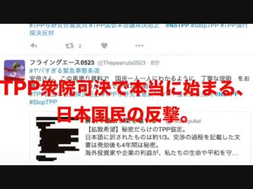 TPP衆院可決で本当に始まる、日本国民の反撃。