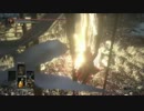 【ダークソウル3】趣味武器で侵入 part7【DLC編】