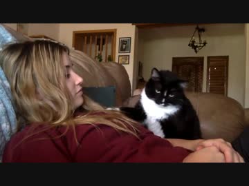 モフモフを要求する猫、ネコ。それに答えてドヤ顔する女