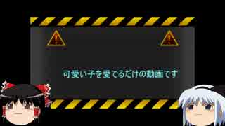 ロリコンはきっと喜ぶ！狂喜する！