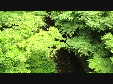 test_movie_1080p_01 新仕様版
