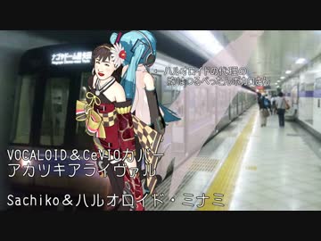 （カバー）アカツキアライヴァル（Sachikoとハルオロイド）