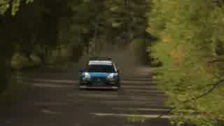 DiRT Rally 306MAXI