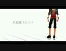 【MMD刀剣乱舞】愛染くんの月見夜ラビット