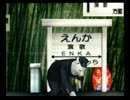 くまうた　（4361）「続水着でライブ二」　唄：嵐山クマ男（夫)
