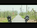 [どこツー19]2016GW今年も長野