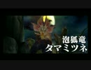 【MHX】村★５「淡紅の泡狐がたゆたうか」でこっそりと爆弾を置いてみた