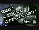 【Salt and Sanctuary実況】塩塩塩！ニコ厨としてはずかしくないのか！　18