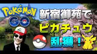 【ポケモンGO】ピカチュウの森こと新宿御苑で乱獲してみた