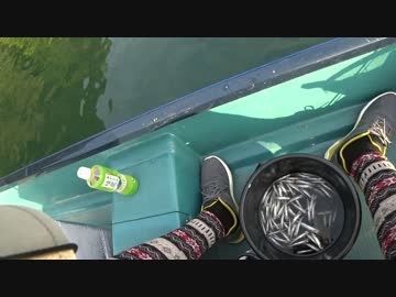 釣りどれんの電車釣行記　7　～爆釣！ワカサギ釣り～