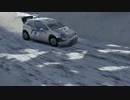 WRC4 そこそこドライバーがWRC全戦優勝を狙ってみた第2戦 SS4