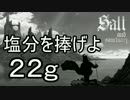 【ゆっくり】塩分を捧げよ 22g【Salt and Sanctuary】