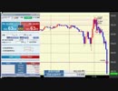 ニコ生FX　トランプ爆誕2