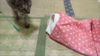 ななこの成長日記その6