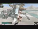 【MHF-Z】片手剣極の型蟹マラソン