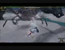 【MHF-Z】GR800 辿異種ダイミョウザザミ  片手ソロ8ラスタ
