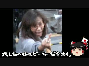 【ゆっくり保守】トランプ大統領の誕生は「ショック」なのか？