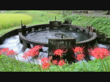 廃墟と遺構　円形分水を訪ねてみた【大分県竹田市】