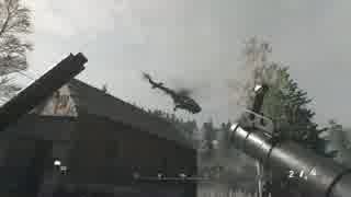 COD MWR トロフィー「ハエたたき」